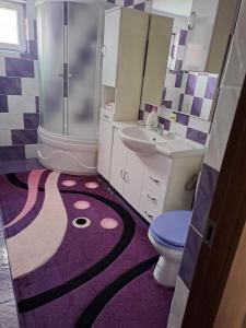 a bathroom with a toilet and a sink and a shower at Pensiunea Floare de Bucovina in Frasin