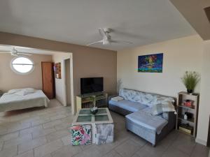 a living room with a couch and a tv at Horizon Mer in Le Gosier
