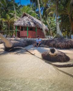 Galeriebild der Unterkunft Private Cabin on Aroma Island in Panama-Stadt + 14 Fotos