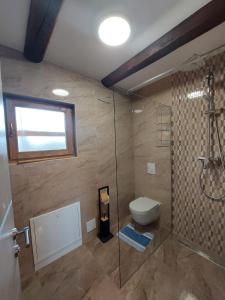 a bathroom with a toilet and a glass shower at Bakina kuća in Jasetići +21 photos