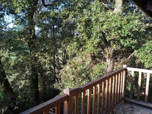 a wooden deck with trees in the background at Cours ruralité tranquillité in Cours +2 photos