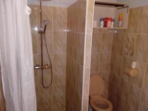 a bathroom with a shower with a toilet and a shower curtain at Cours ruralité tranquillité in Cours