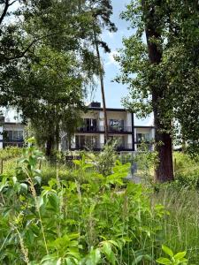 a building in the middle of a field with trees at Bad Seerose mit Seeblick, Dachterrasse, Pool und Sauna in Bad Saarow