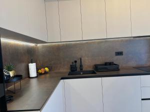 Kuchyň nebo kuchyňský kout v ubytování Apartment Meri