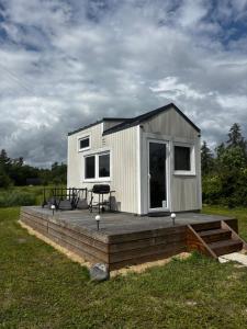 VirtsuAnniksson Tiny House的田野木甲板上的一个小房子