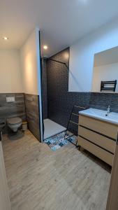 a bathroom with a shower and a toilet and a sink at Les roches voisines "big rock" in Solutré-Pouilly +11 photos