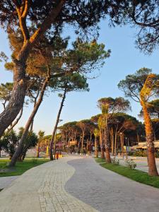 Zajímavé místo poblíž apartmánu