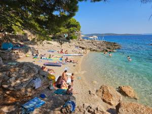 a group of people on a beach in the water at Apartments Sea and Pine in Ivan Dolac