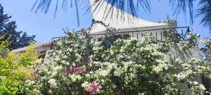 a building with a bunch of flowers in front of it at Il giardino di FraFa in Quartu SantʼElena +60 photos
