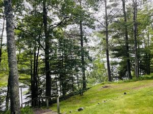 a grassy hill with trees and a body of water at Sunset on the Bay Condo in Hayward