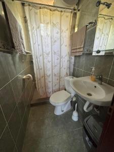 a bathroom with a toilet and a sink at Kuća za odmor braća Jevtić Vrnjačka Banja in Vrnjačka Banja +14 photos
