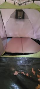 PozezdrzeRent a tent - Namiot w Praekologicznym gospodarstwie的相册照片