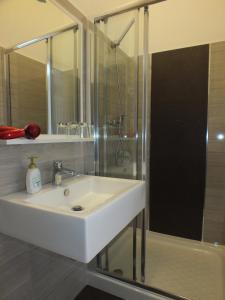 a bathroom with a sink and a shower at Apartman Draguć in Pula