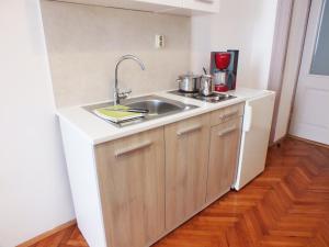 a small kitchen with a sink and a counter at Apartman Draguć in Pula +9 photos