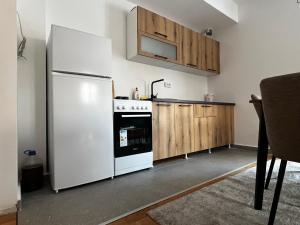 Η κουζίνα ή μικρή κουζίνα στο Apartment Zevs by Zafiro