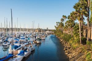 a group of boats docked in a marina with palm trees at Humphreys Half Moon Inn in San Diego