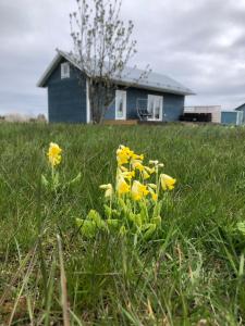 Fotografie z fotogalerie ubytování Spithami suvekodu v destinaci Spithami