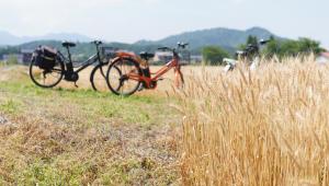Fotografija u galeriji objekta 多賀さとの宿 一圓屋敷 u gradu Taga