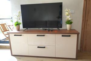 a television on top of a white dresser with flowers at Green Hill Susic in Divčibare