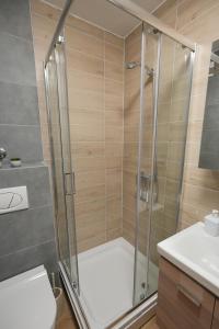 a shower with a glass door in a bathroom at Green Hill Susic in Divčibare