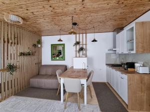 Η κουζίνα ή μικρή κουζίνα στο Casa Pasajul Scarilor
