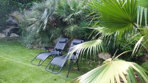 Tres sillas sentadas en un patio con palmeras. en Le Cycas de la Palmeraie, en Istres