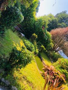 a garden with a bench and trees and flowers at The Studio in St Austell +3 photos