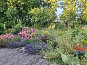 ogród z kwiatami i roślinami na drewnianym tarasie w obiekcie Gîte Nature et détente w mieście Aubréville