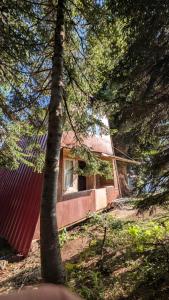 a house sitting in the middle of a forest at House in forest in Gomi +98 photos