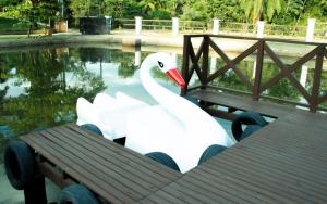 two white swans are sitting on a dock at Hotel Fazenda RosaBlue in Presidente Getúlio