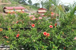 Un jardín fuera de Hotel Gadhi View & Resort