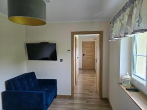 TV a/nebo společenská místnost v ubytování Apartament Łomnicka 59