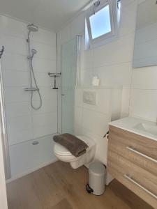 Un baño con ducha, inodoro y lavabo. en Vakantiehuis Huisje 31 Zoutelande, en Zoutelande 51 fotos más