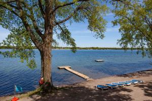 a dock on a lake with a tree and chairs at The Milkweed - 18 Meadow View in Cherry Valley