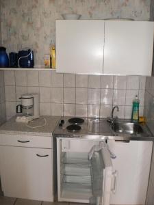 Kuchyň nebo kuchyňský kout v ubytování Schule 5 + 3 fotografie