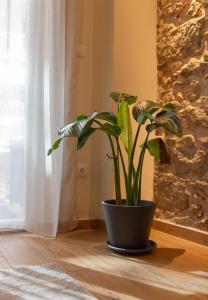 Fotografie z fotogalerie ubytování Serenity Luxury Estates v destinaci Piraeus