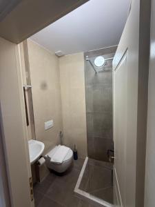 a small bathroom with a toilet and a shower at Hotel Borklad in Berat