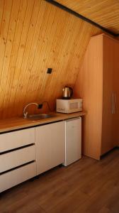 a kitchen with a sink and a microwave on a counter at Hanul Haiducilor in Şendreni