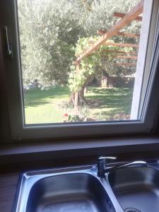 Zahrada ubytování Casa vacanze Tenuta Camilli + 19 fotografií