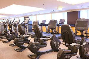 Fitness centrum a/nebo fitness zařízení v ubytování Hotel Allamanda Aoyama Tokyo