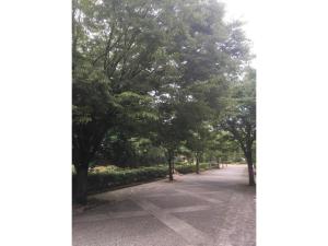 a street with trees on the side of a road at Tenjin Tabine - Vacation STAY 24233v in Kanazawa