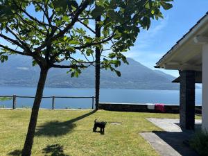 Paesaggio naturale nelle vicinanze della villa