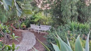 a bench sitting in the middle of a garden at Terranova 