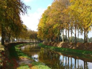 een rivier met bomen aan de zijkant bij Markelo Lodge Near Trails in Markelo
