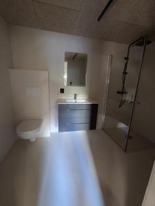 Ένα μπάνιο στο Lofoten Apartment 01
