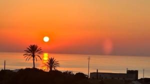 an orange sunset over the ocean with palm trees at Dammuso Kazen Jezabel in Pantelleria