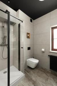 une salle de bain avec toilettes et douche en verre dans l'établissement Entu Apartamenty Odrzanska, à Wrocław