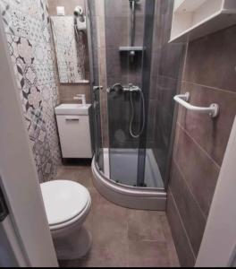 un bagno con wc e doccia in vetro di City Studio Ana a Fiume (Rijeka)