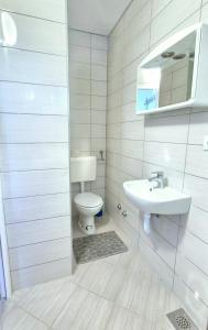 a bathroom with a toilet and a sink at Studio Apartmani Šehić in Krvavica +52 photos