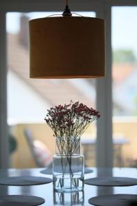 Φωτογραφία από το άλμπουμ του P-Hosting Kitten Manor im Kurort Bad Waldsee σε Bad Waldsee +28 φωτογραφίες